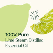 Plant Therapy Lime Steam Distilled Essential Oil Essential Oil