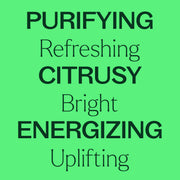 Plant Therapy Lime Steam Distilled Essential Oil Essential Oil