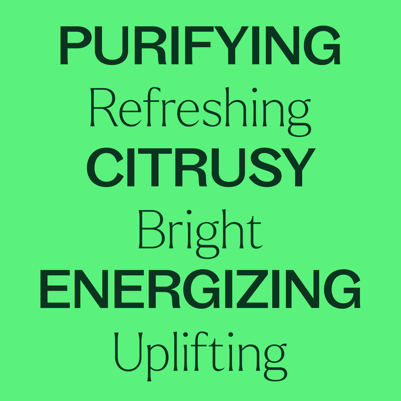 Plant Therapy Lime Steam Distilled Essential Oil Essential Oil