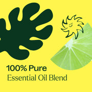 Plant Therapy Lime in the Coconut Essential Oil Blend Essential Oil