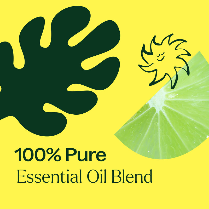 Plant Therapy Lime in the Coconut Essential Oil Blend Essential Oil