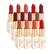 EpiLynx Vegan Matte Lipstick – Hydrating, Long-Wear, Magnetic Case lipstick