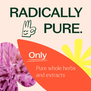 Plant Therapy Liver Tonic Herbal Supplement - 120 Capsules Supplement