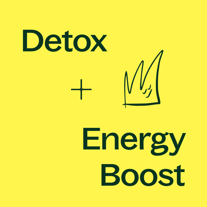 Plant Therapy Liver Tonic Herbal Supplement - 120 Capsules Supplement