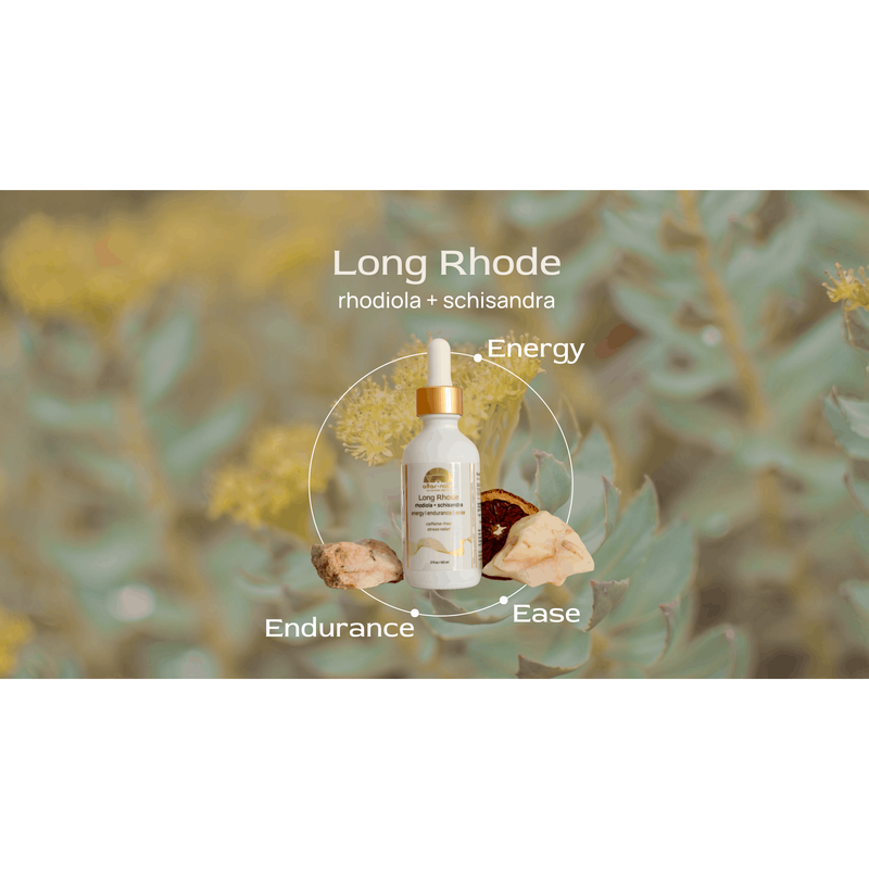 Altar Native (PRE-ORDER) Long Rhode ⟡ Rhodiola + Schisandra Adaptogen Drops Tincture