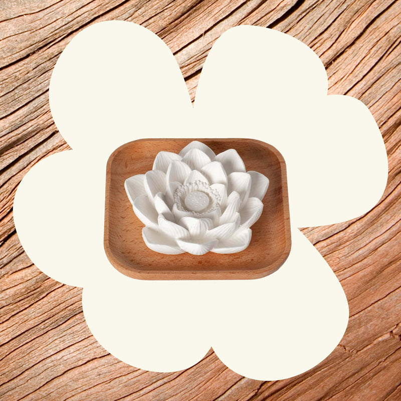 Plant Therapy Passive Lotus Diffuser Diffuser