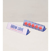 Modern Sprout Bright Side Seed Balls Playful Planting