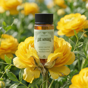 Aroma360 Love Language Oil