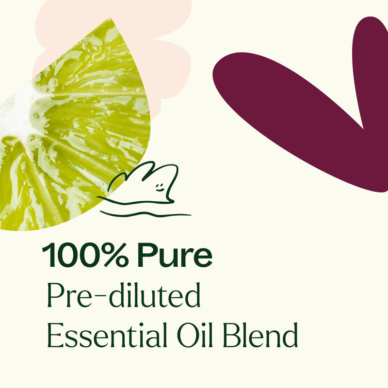 Plant Therapy Loving Compassion (Heart Chakra) Essential Oil Pre-Diluted Roll-On Essential Oil