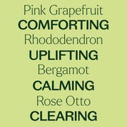 Plant Therapy Loving Compassion (Heart Chakra) Essential Oil Pre-Diluted Roll-On Essential Oil