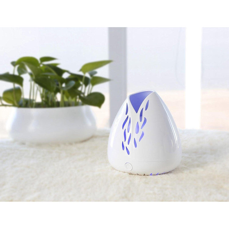 ZAQ Skin & Body Lucent Diffusers