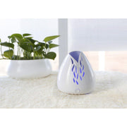 ZAQ Skin & Body Lucent Diffusers