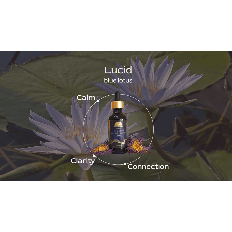 Altar Native (PRE-ORDER) Lucid ✦ Blue Lotus Drops Tincture