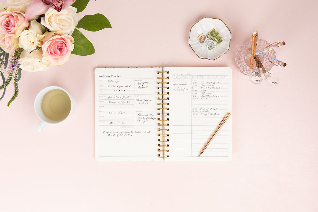 Self-Care Planner V1