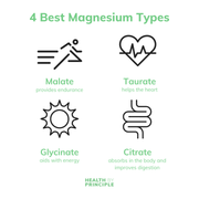 Health By Principle Case of 12 Complete Magnesium Supplements Supplement