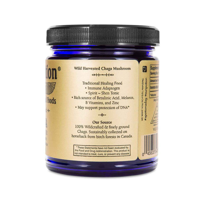 Sun Potion Chaga Mushroom Powder (Wildcrafted) Adaptogen