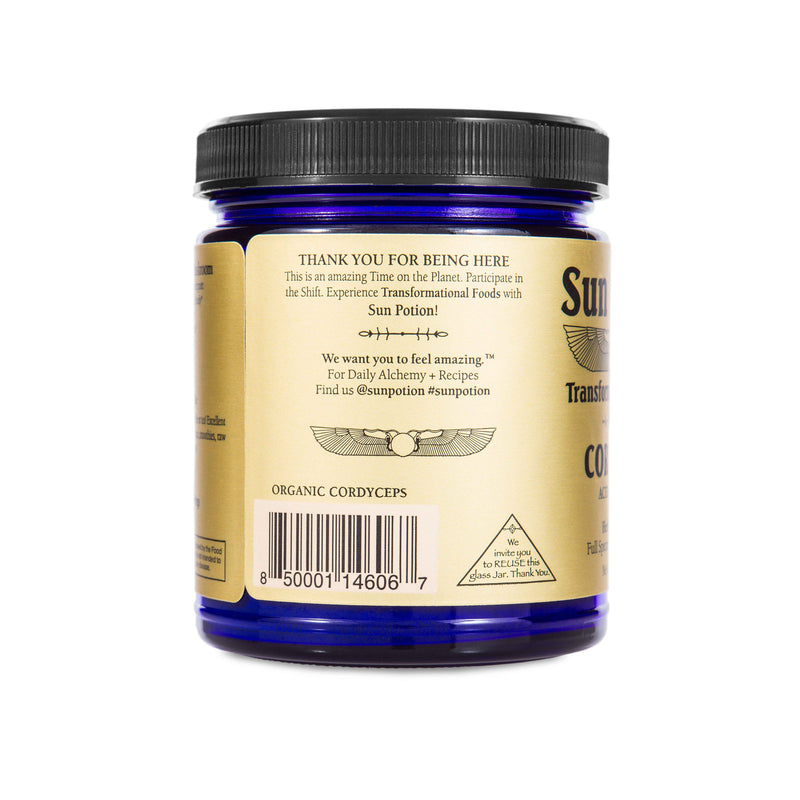 Sun Potion Cordyceps Mushroom Powder Adaptogen Wheat 100g Jar