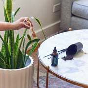 Modern Sprout Soil Scoop Accessory