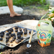 Modern Sprout Seed Ball Kits Playful Planting