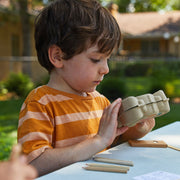 Modern Sprout Curious Critters Garden Kits Playful Planting