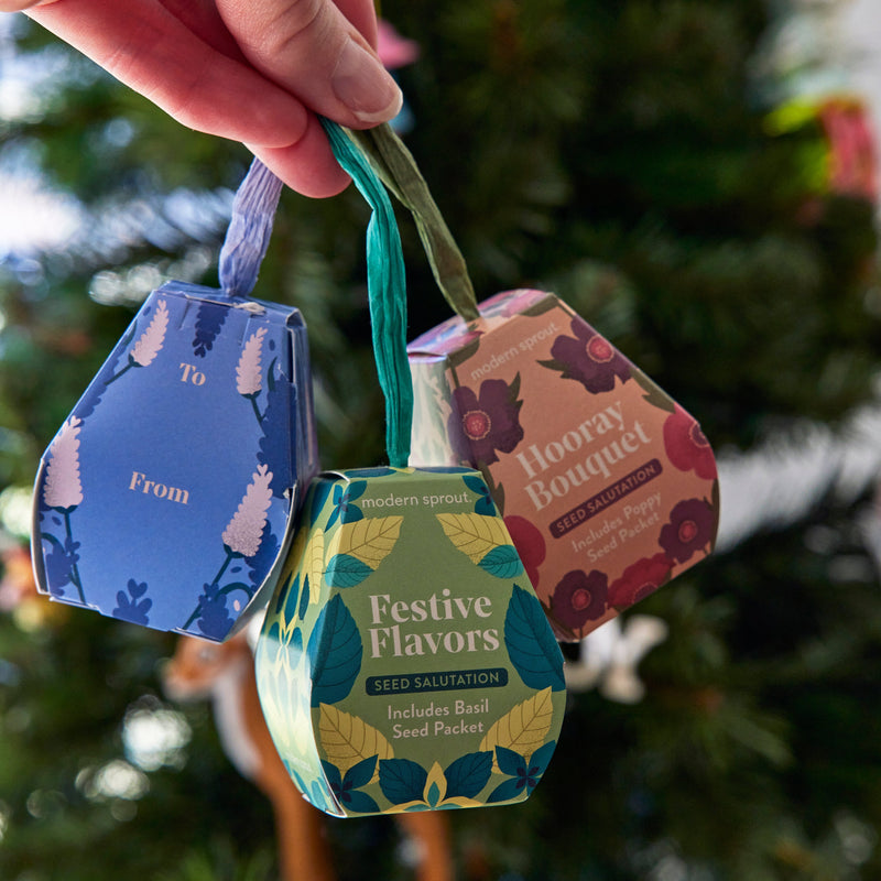 Modern Sprout Seed Salutations Playful Planting