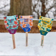 Modern Sprout Seed Pops - Pollinator Playful Planting