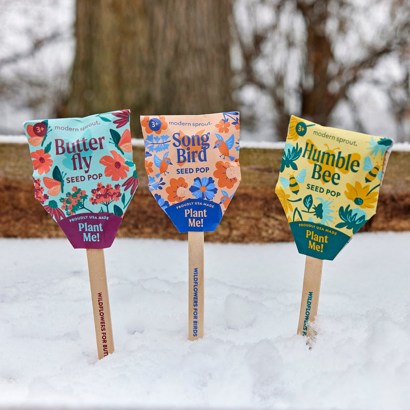 Modern Sprout Seed Pops - Pollinator Playful Planting