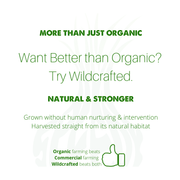 SpeedyVite® Colon Cleaner (Wild Full Strength) Turkey Rhubarb — 120 Veg Caps | Supports Bowel Function* | SpeedyVite® - FREE EXPEDITED Veg Capsules