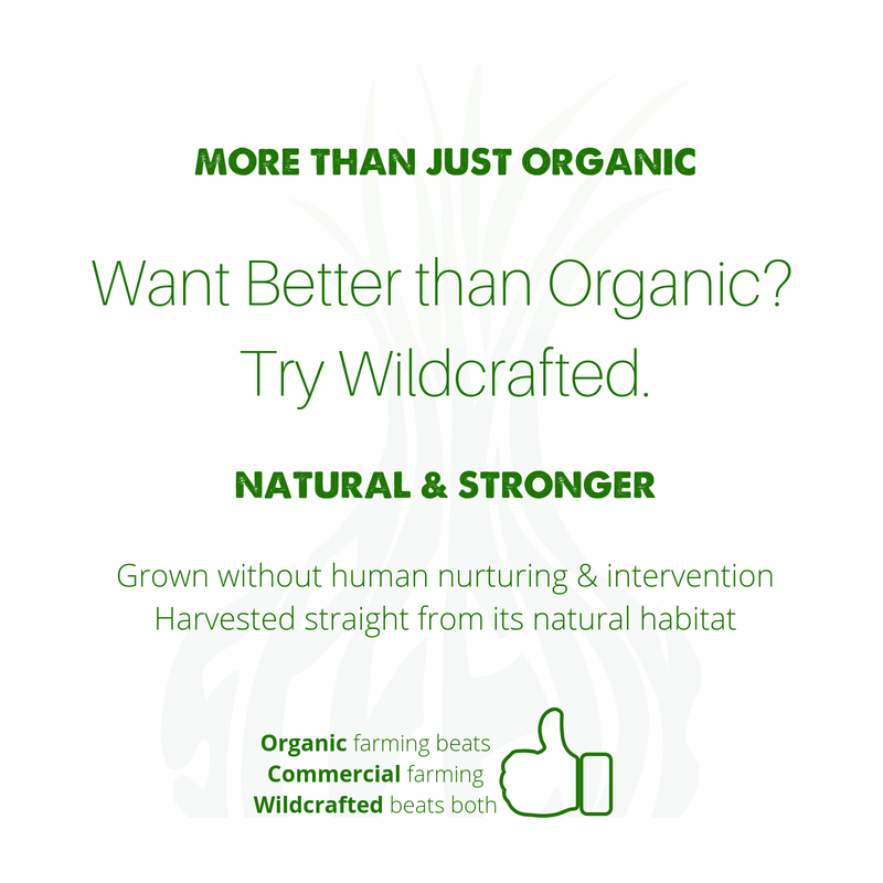 SpeedyVite® Colon Cleaner (Wild Full Strength) Turkey Rhubarb — 120 Veg Caps | Supports Bowel Function* | SpeedyVite® - FREE EXPEDITED Veg Capsules