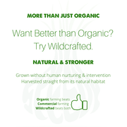 SpeedyVite® Natural Blood Cleanser Drops (2 fl oz) | Organic & Wildcrafted | SpeedyVite - FREE EXPEDITED Drops