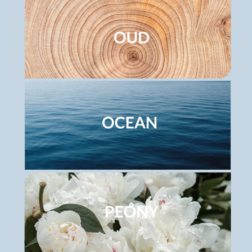 Aroma360 Mother Ocean Oil