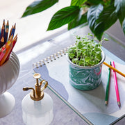 Modern Sprout Altered Herb Mug Grow Kits Indoor Garden Kit