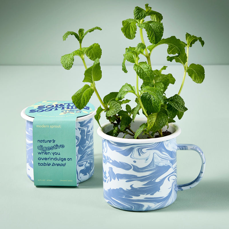 Modern Sprout Altered Herb Mug Grow Kits Indoor Garden Kit