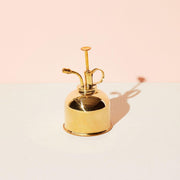 Modern Sprout Misters Accessory