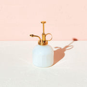 Modern Sprout Misters Accessory