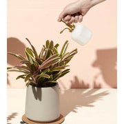 Modern Sprout Misters Accessory