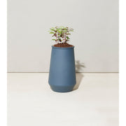 Modern Sprout Tapered Tumbler Grow Kits Indoor Garden Kit