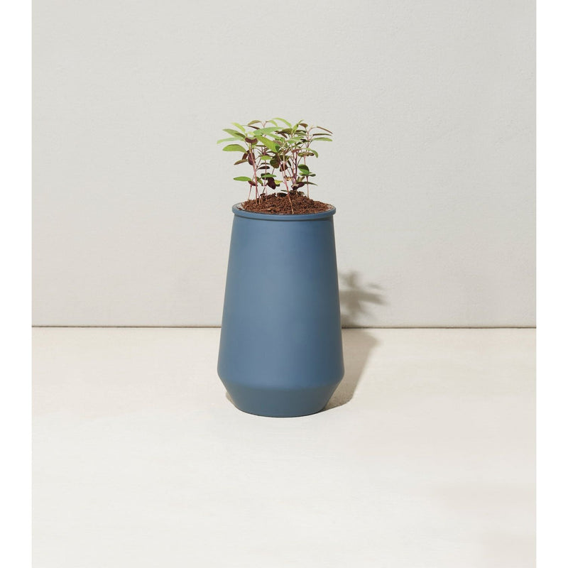 Modern Sprout Tapered Tumbler Grow Kits Indoor Garden Kit