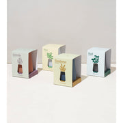 Modern Sprout Tapered Tumbler Grow Kits Indoor Garden Kit