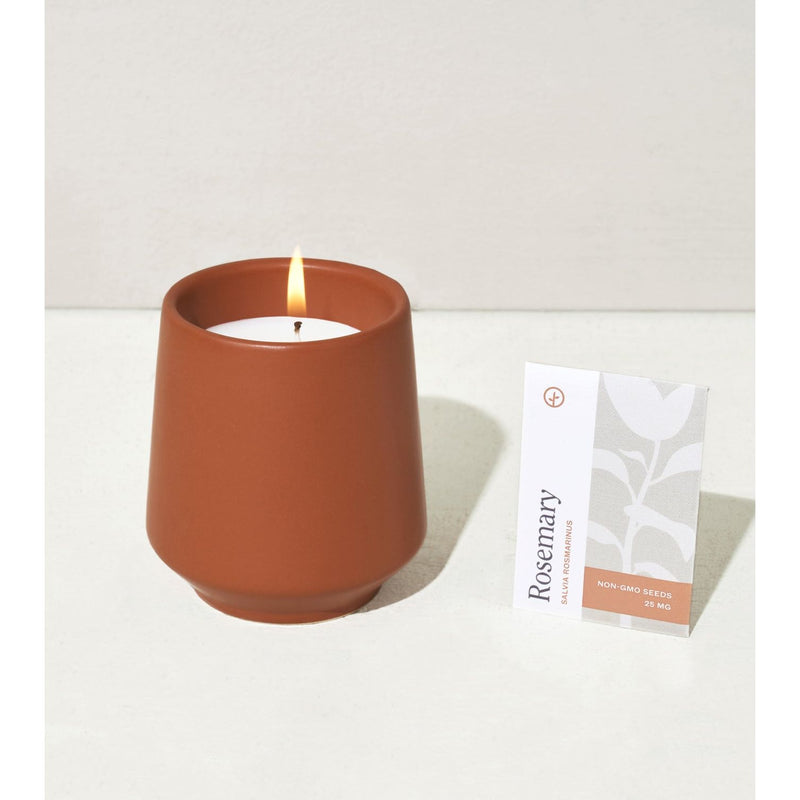 Modern Sprout Rooted Candles Candle Antique White Rosemary & Cucumber 1pk,Thyme & Tonka Bean 1pk,Lavender & Cedarwood 1pk,Basil & Jasmine 1pk,Mixed 3pk