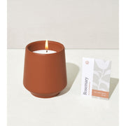 Modern Sprout Rooted Candles Candle