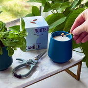 Modern Sprout Rooted Candles Candle Gray Rosemary & Cucumber 1pk,Thyme & Tonka Bean 1pk,Lavender & Cedarwood 1pk,Basil & Jasmine 1pk,Mixed 3pk