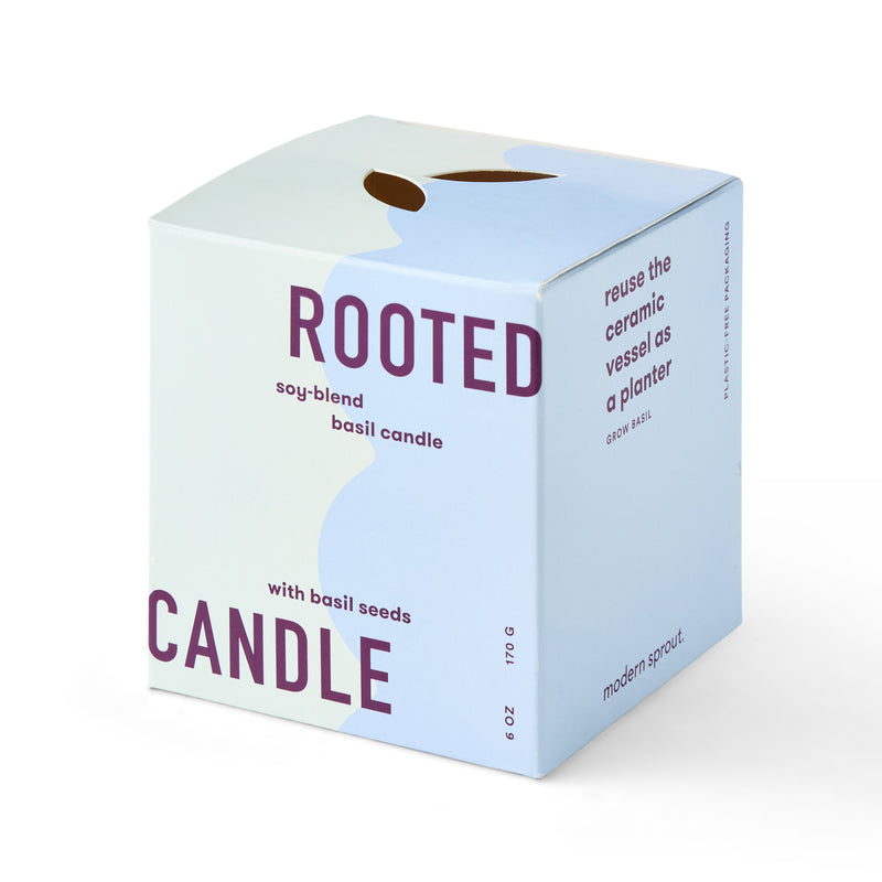 Modern Sprout Rooted Candles Candle Lavender Rosemary & Cucumber 1pk,Thyme & Tonka Bean 1pk,Lavender & Cedarwood 1pk,Basil & Jasmine 1pk,Mixed 3pk