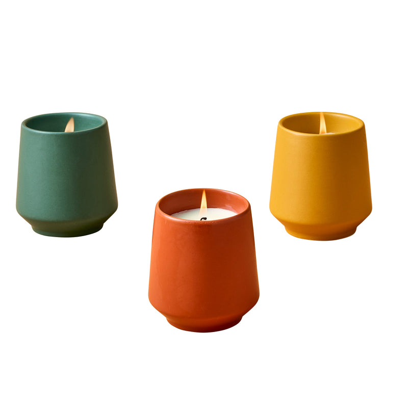 Modern Sprout Rooted Candles Candle Saddle Brown Mixed 3pk