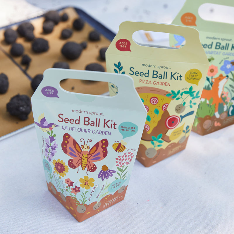 Modern Sprout Seed Ball Kits Playful Planting