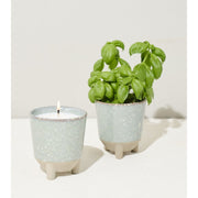 Modern Sprout Glow & Grow Kits Candle