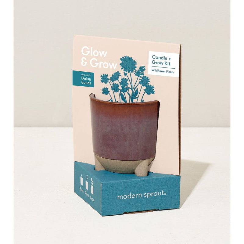 Modern Sprout Glow & Grow Kits Candle