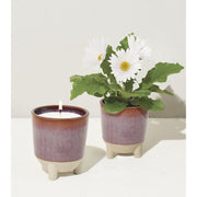 Modern Sprout Glow & Grow Kits Candle