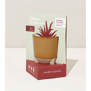 Modern Sprout Glow & Grow Kits Candle