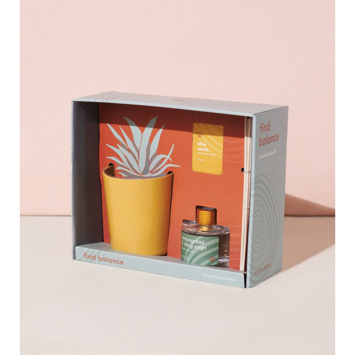 Modern Sprout - Find Balance - Grounding Aloe Kit